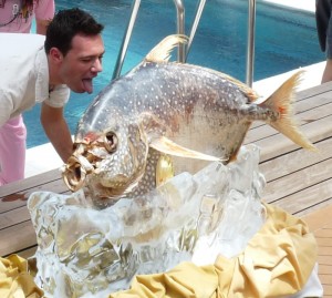 20039_eqtr_fish_kissc8 An Enthusiastic Fish Kiss